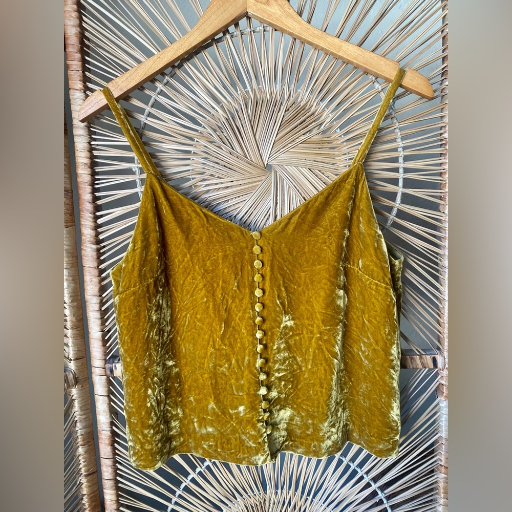 Madewell Velvet Button-Down Cami Size 2